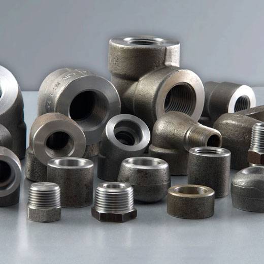 310 Stainless Steel Forged Fittings