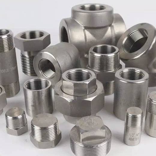317 Stainless Steel Forged Fittings