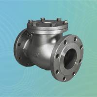 Carbon Steel Bolted Cover Check Valve