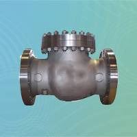 Cast Iron Bolted Cover Check Valve