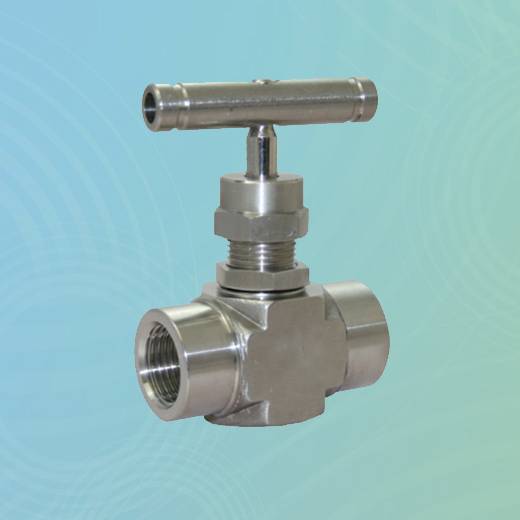 Cast Iron Needle Valve