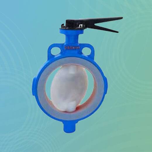 Ductile Iron FEP / PFA Lined Valve