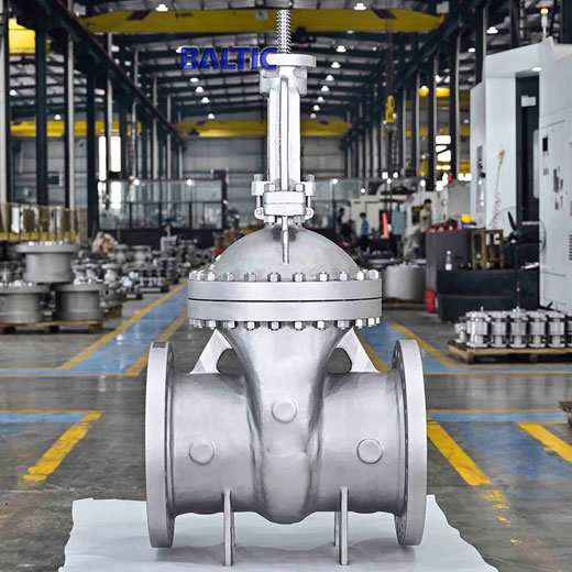 Super Duplex Steel S32750 Valves