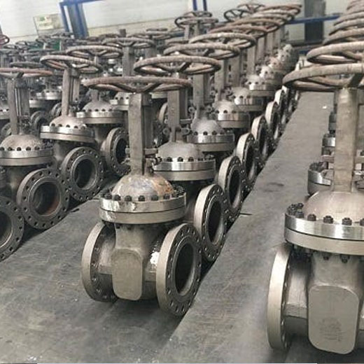 Duplex Steel S32205 Valves