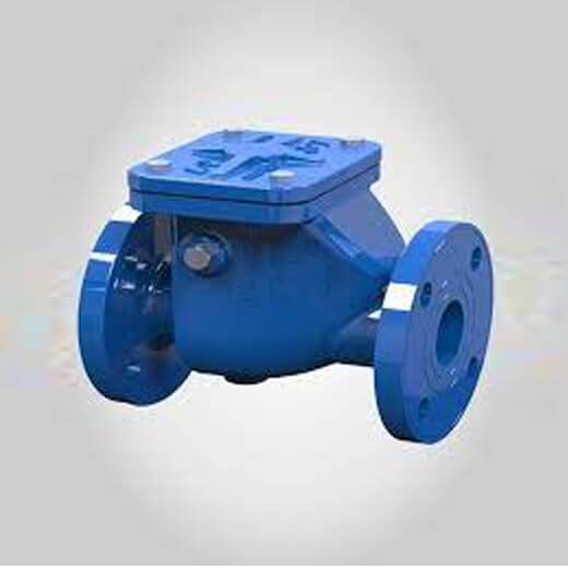 Reflux Check Valves