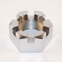 Stainless Steel Slotted Hex Nuts