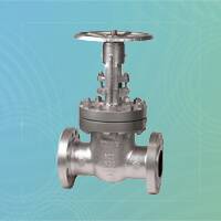 Stainless Steel Bolted Bonnet Gate Valve 