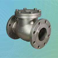 Stainless Steel Reflux Check Valve 